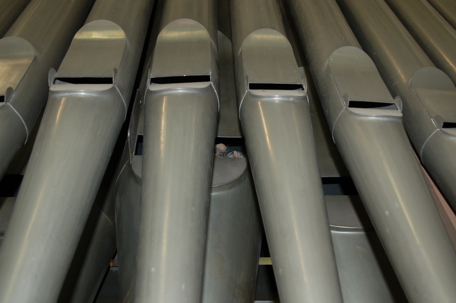 Demontage frontpijpen Sint-Rombouts